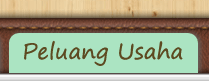 peluang-usaha