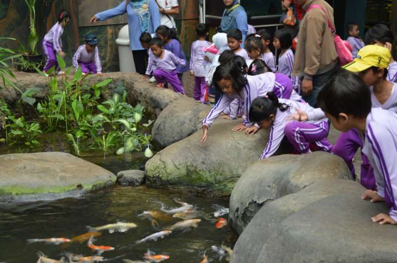 Field Trip#|#|#Kegiatan Fieldtrip|||0.5